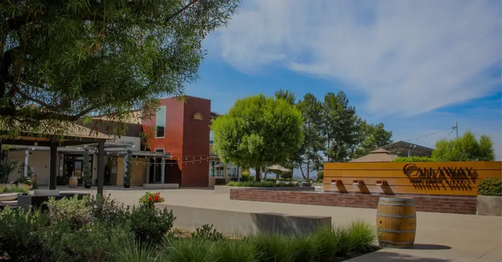 Top 10 Wineries Near San Diego You will Love to Visit