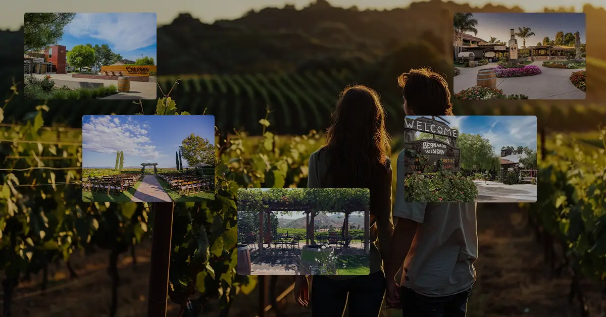 Top 10 Wineries Near San Diego You Will Love to Visit