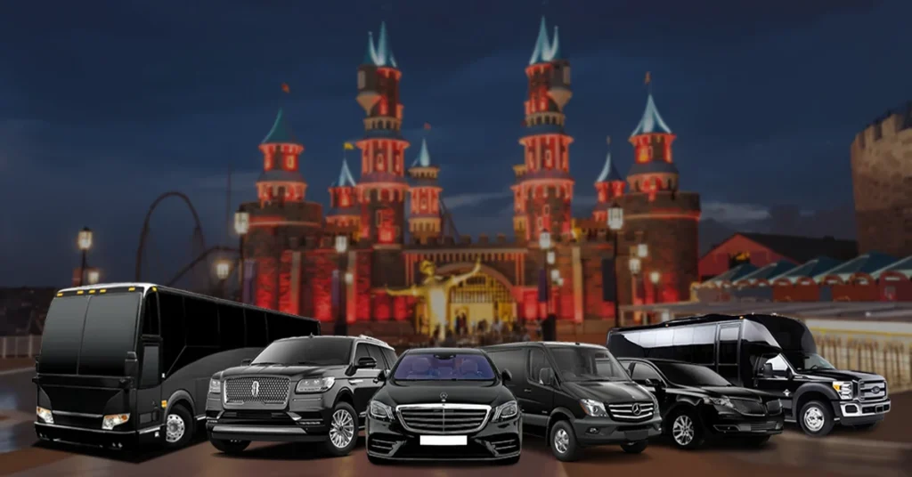 8. Private Car Service