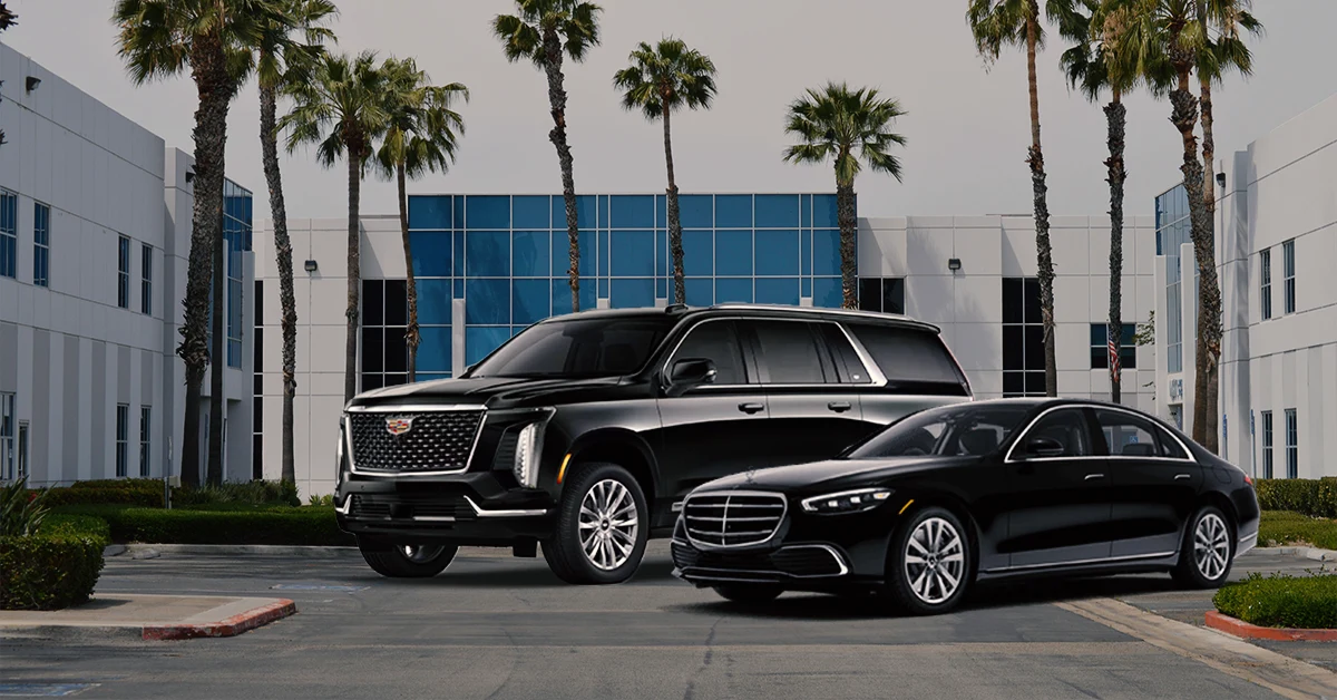 Reason 2: Luxury and Comfort That Helps You Work